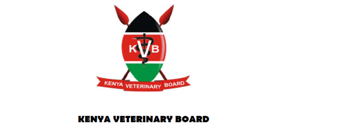 Guidelines for KVB Elections