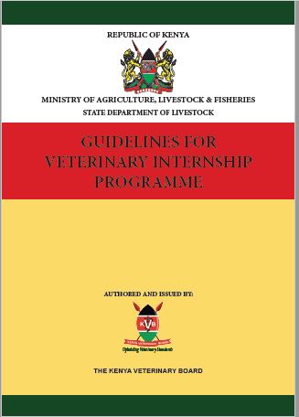 internship guidelines
