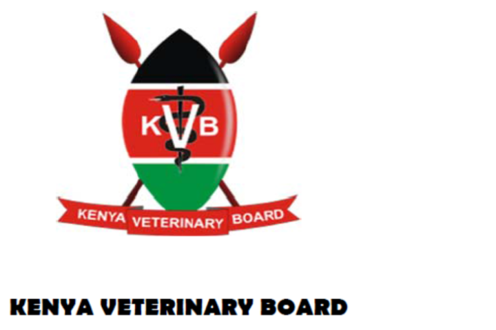 Guidelines for KVB Elections