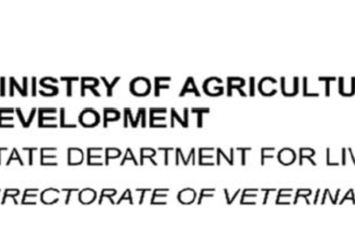 DVS Placement Feb 2026