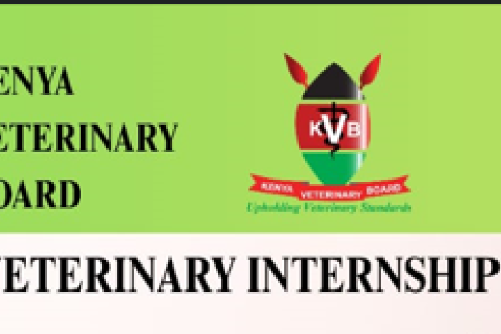 Launch of the 2026 Veterinary Internship Programme