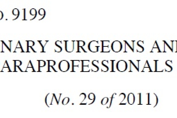 Suspension of Veterinary Surgeon