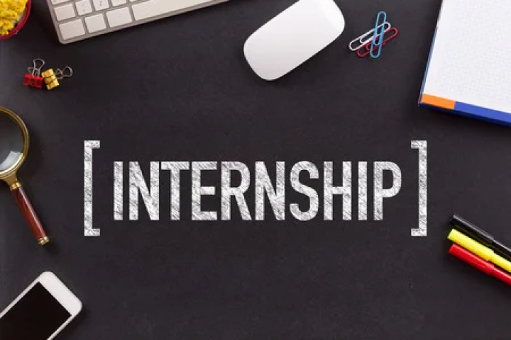 GUIDELINES FOR VETERINARY INTERNSHIP PROGRAMME